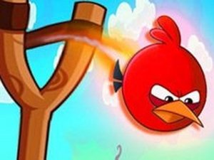 Angry Ducks Puzzle Game