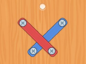 Nuts Bolts Screw Puzzle - Free Online Wood Puzzle Game