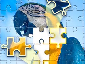 Puzzle Challenge Online Game - Jigsaw Puzzle Game