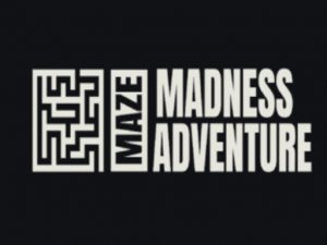 Maze Madness Adventure Puzzle Game