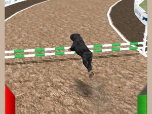 Crazy Real Dog Race Online Arcade Game