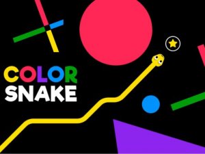Colors Snake Puzzle Game - Arcade Game