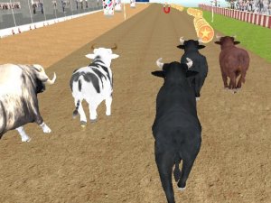 Bull Racing Online Arcade Game
