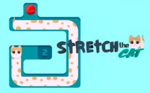 Stretch Feline Logic Challenge