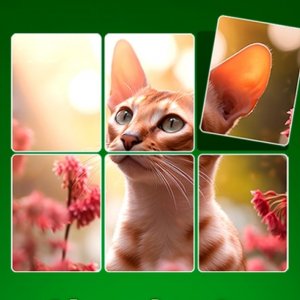 Jigpic Solitaire Puzzle Game - Jigsaw Card Puzzle